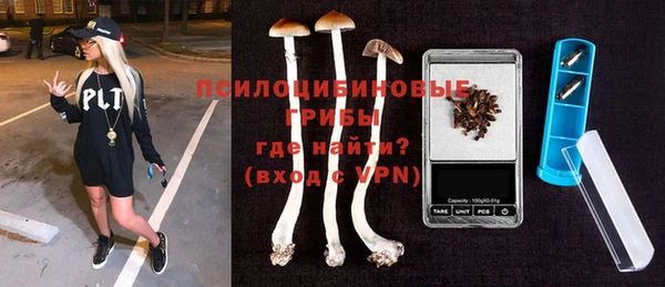 2c-b Бородино