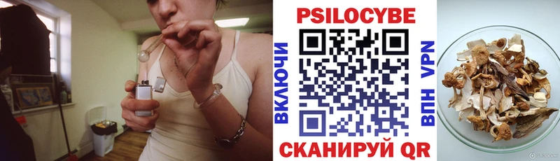 блэк спрут рабочий сайт  Кемь  Псилоцибиновые грибы GOLDEN TEACHER 