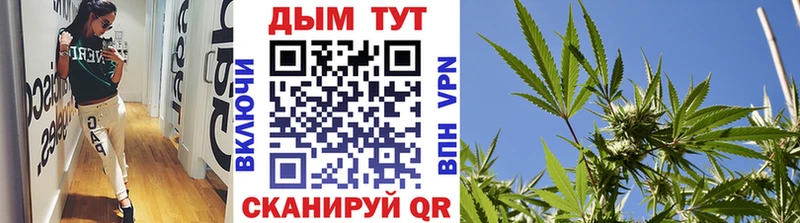 Бошки Шишки сатива  кракен ТОР  Кемь 